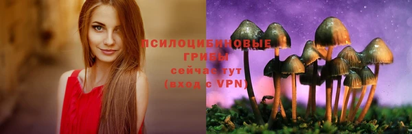 прущие крисы Белоозёрский