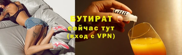 ГАЛЛЮЦИНОГЕННЫЕ ГРИБЫ Дмитриев