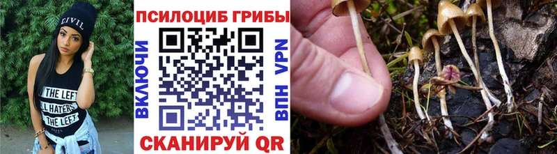Псилоцибиновые грибы GOLDEN TEACHER гидра зеркало Дигора